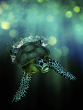 Green Sea Turtle Swimming in the Ocean