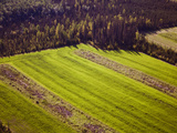 Making New Farm Land  Nenana  Alaska