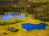 Lakes  Nenana  Alaska