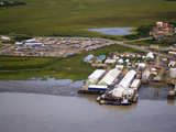 Peter Pan Seafood Company on the Shores of the Nushagak River  Dillingham  Bristol Bay  Alaska
