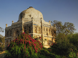 Mosque of Sheesh Gumbad  Lodhi Gardens  New Delhi  India