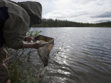 An Undergraduate Student Holds a Net  Looking for Benthic Macro Invertebrates in a Thermokarst