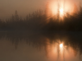 Crepuscular Rays Filter Through Larch Trees over Shuchi Lake in the Siberian