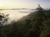 Foggy Morning from Auxier Ridge  Red River Gorge Geological Area  Daniel Boone National Forest