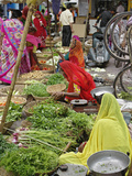 Colorful Fruit and Vegetable Market  Udaipur  India
