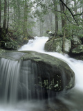 Leconte Creek Cascading over Boulders after Heavy Rains  Great Smoky Mountains National Park