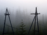 Old Power Lines in the Fog  Cherskiy  Sakha Republic  Siberia  Yakutia  Russia