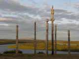N Totems Stand on a Ridge Above the Panteleikha River  a Tributary of the Kolyma River