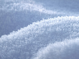 Close Up of Ice Crystals on a Bush in Winter