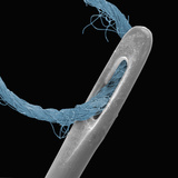 Needle Eye and Thread  SEM X23  500 Um