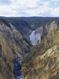 Lower Yellowstone Falls and Grand Canyon of the Yellowstone  Yellowstone National Park  Wyoming