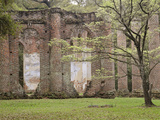 Red Brick Ruins of the Church of Prince Williams Parish known as Sheldon