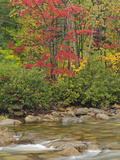 Swift River in Autumn  White Mountain National Forest  New Hampshire