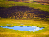Early Fall after the Summers of the Nenana Forest Fire