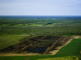 Breaking New Ground and Farming New Land Just North of Nenana  Alaska