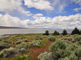Lake Abert  a Remnant of Pleistocene Lake Chewaucan