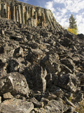 Basalt Cliff and Eroded Rocks at Sheepeaters Cliff  Yellowstone National Park  Wyoming  USA