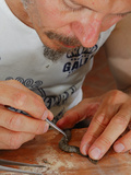 A Herpetologist Studying a Young European Asp (Vipera Aspis)  Europe