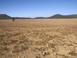 The Pumice Desert  Formed When Mt Mazamerupted 7700 Years Ago