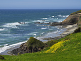 High Tide on the Central Oregon Coast  USA  Series