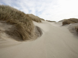 Deflation Hollow in a Coastal Sand Dunes  Oregon  USA
