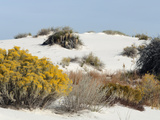 White Sands National Monument  Near Alamagordo Consists of White Gypsum (Selenite)
