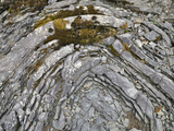 Contorted Rock of the Umpqufolds Lying Horizontally on the Bank of the Umpqua River