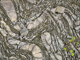 Contorted Rock of the Umpqufolds Lying Horizontally on the Bank of the Umpqua River