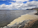 Foam on the Shore of Lake Lake Abert  a Remnant of Pleistocene Lake Chewaucan