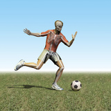 Soccer Player with Visible Skeleton