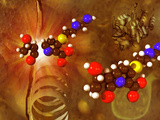 Imipenem-Cilastatin Molecular Model One of the Carbapenem Family of Antibiotics