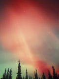 Aurora Borealis or Northern Lights  Alaska  USA