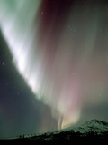 Aurora Borealis or Northern Lights  Alaska  USA