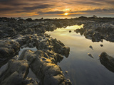 Tide Pools at Low Tide and at Sunset on Rialto Beach  Olympic National Park  Washington  USA