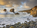Large Waves Crashing over the Rocky Coast Near Monterey  California  USA