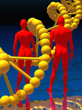 DNA Molecular Model with Male and Female Figures