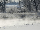An Evaporation Fog Rises over the Platte River in Winter in Northern Colorado