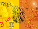Illustration Showing the Attributes of Left and Right Brain Activity in Humans