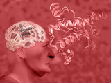 Illustration of Prion Protein and Alzheimers Disease Amyloid Peptide  Which Causes Plaque
