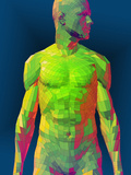 Faceted Male Torso