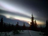 Aurora Borealis or Northern Lights  Alaska  USA