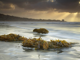 Sunbeams Through Storm Clouds with Seaweeds Washed Ashore on the Sandy Beach Near San Diego
