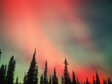Aurora Borealis or Northern Lights  Alaska  USA