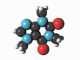 Illustration of a Caffeine Molecular Model