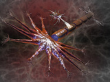 Illustration of an Oligodendrocyte Repairing the Damaged Myelin Sheath