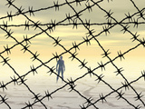 Fences