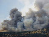 Heavy Smoke from a Wildfire Burning in the Rocky Mountains of Colorado  USA