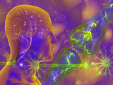 Concept of Electrical Activity in Neurons Electrical Impulses are Carried across the Synapse