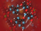 Biomedical Illustration of Four Different Bases in DNA