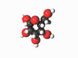 Ring Glucose Molecular Model  One of the Building Blocks of Cells
